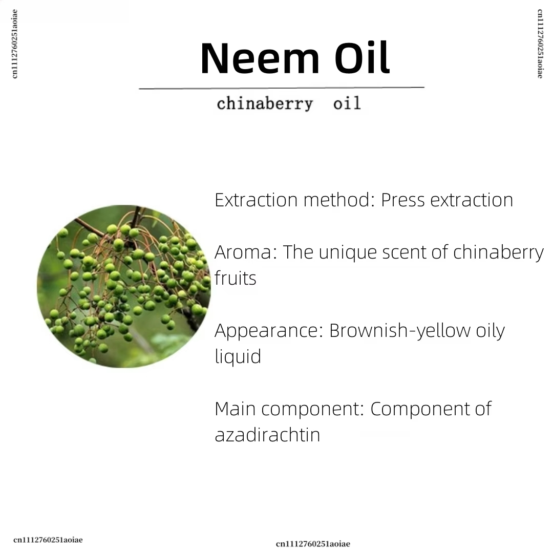 Organic Neem Oil - Spiritual I - Home Fragrance Organic review and price