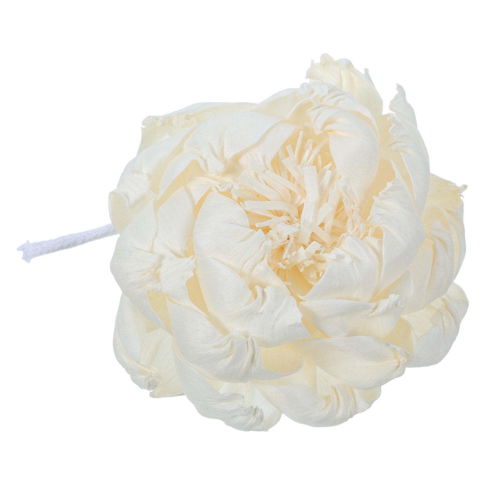 Peony Head Fragrance Diffuser  - Home Fragrance Essential Oils review and price