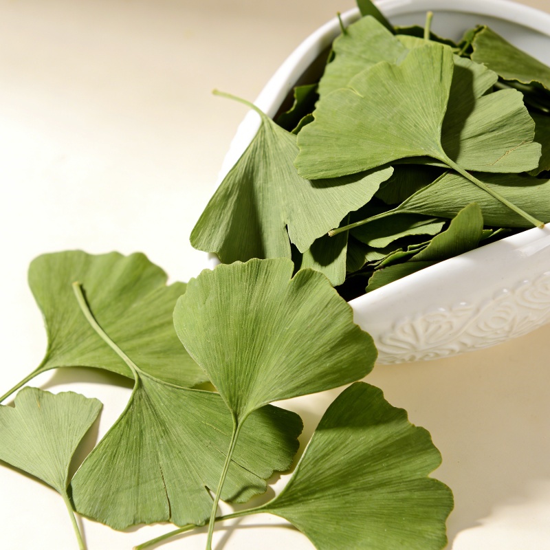 Quality Ginkgo Biloba Dried Le - Home Fragrance Sachet review and price